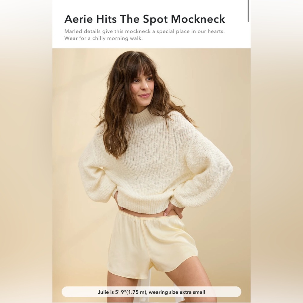 Aerie Hits The Spot Mockneck size Large NWT